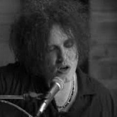 The Lovecats (acoustic)