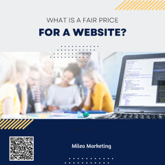 What is a Fair Price for a Website?