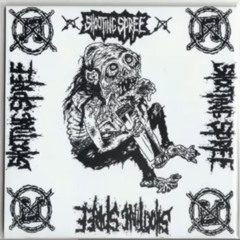 Shooting Spree - TADROAEV Split