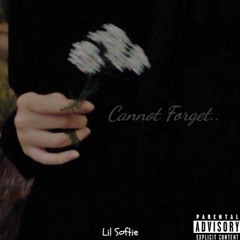 I Guess I Will Forget You