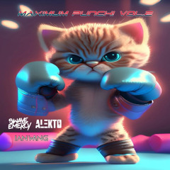 MAXIMUM PUNCH! EDIT & MASHUP PACK v2