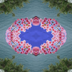 hesa (slowed) / listen on spotify :)