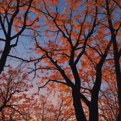 October Wind
