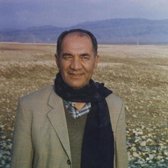 Masoud Bakhtiyar - Kashki(New Remix)