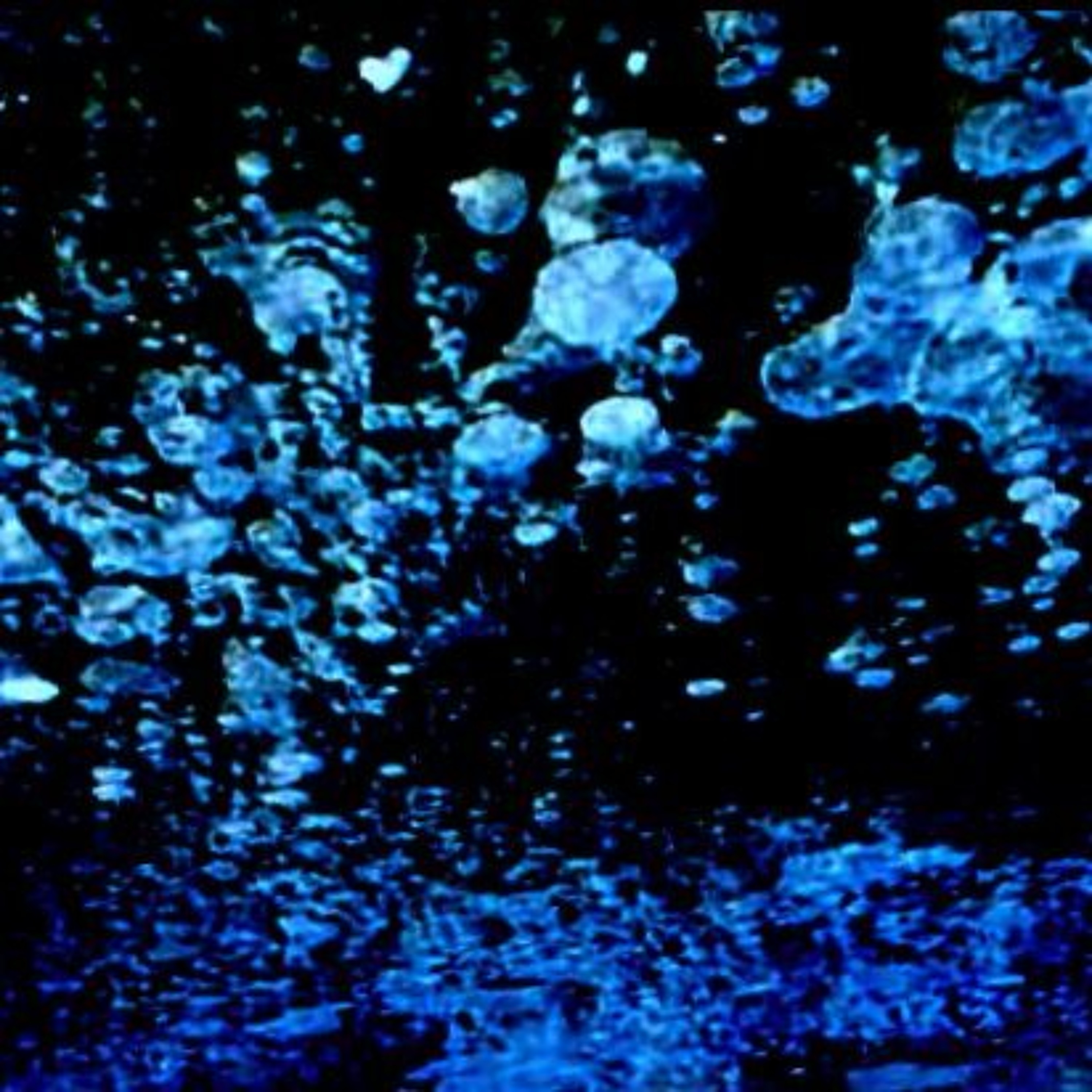 Snapshots of a Dream - Bill Austin 2026 episode artwork