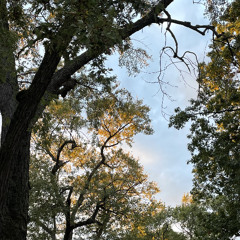 Bad Snacks 'say it like u mean it' Squish Remix