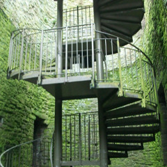 the Spiral Staircase / a.k.a. double helix