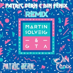 Martin Solveig & GTA - Intoxicated (Patric Bern E Din Fênix Remix)