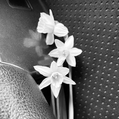 VIP AFTER IN ODESSA. 2021 Season Opening. LIVE Set 8.05.21