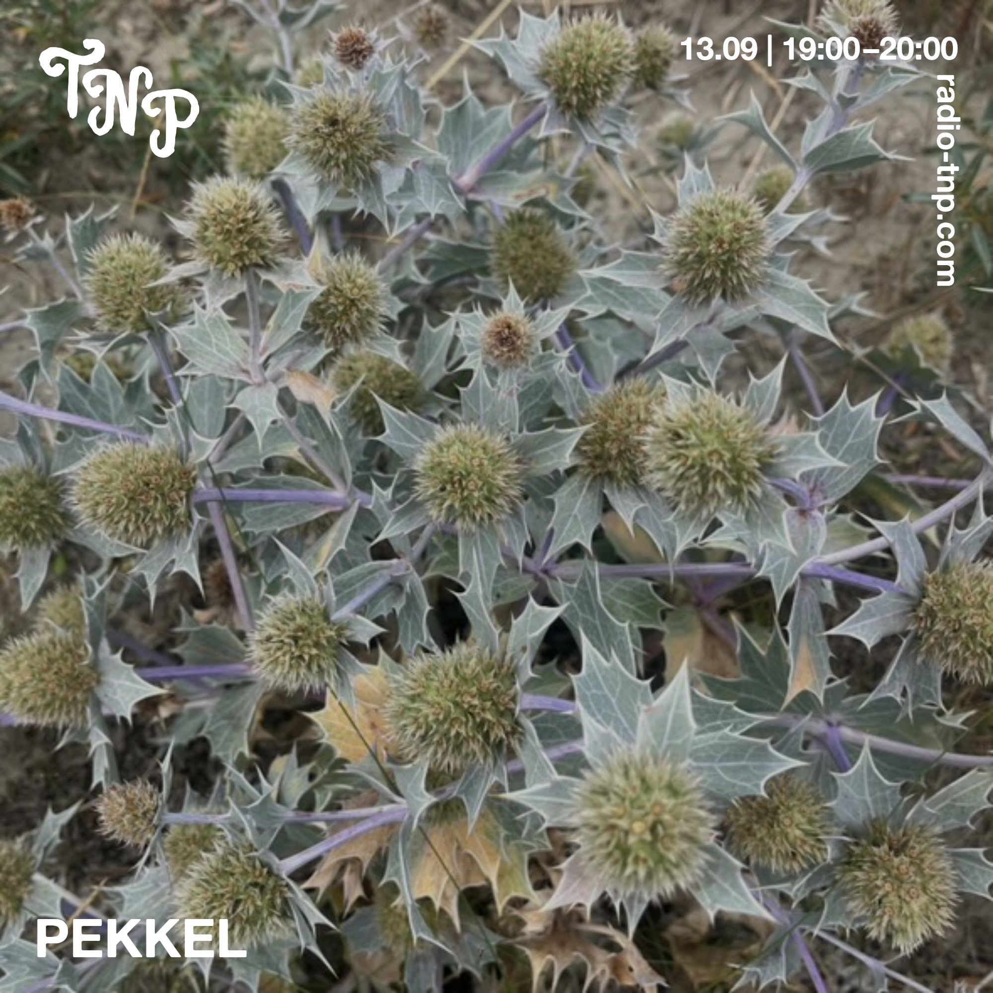 Pekkel