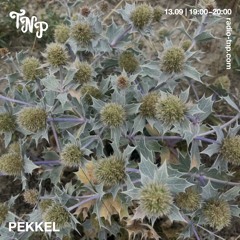 Pekkel @ Radio TNP 13.09.2025