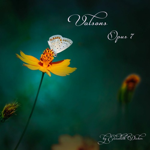 Valsons Opus 7