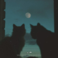 Night Light