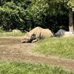 47th Song(B♭ Practice No1)