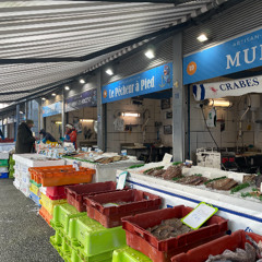 Reportage au marché aux poissons de Boulogne-sur-Mer (Mémoire)