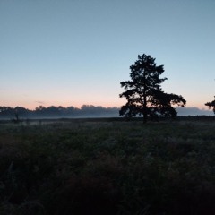 через чур.mp3