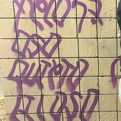 “Fantasy Freestyle”