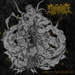 Shroud Obscurity