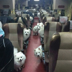 LETI  (PROD RAFFSPAZZIN x CRISIS)