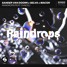 Sander Van Doorn, Selva, Macon, Chacel - Raindrops (VRSLN Remix)