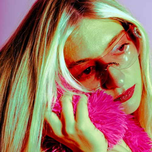 Closer cover