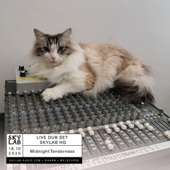 Midnight Tenderness Live Dub Set @ Skylab HQ