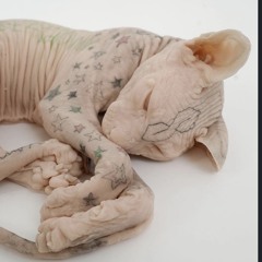 Credit score wild part 2