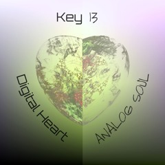 Digital Heart, Analog Soul