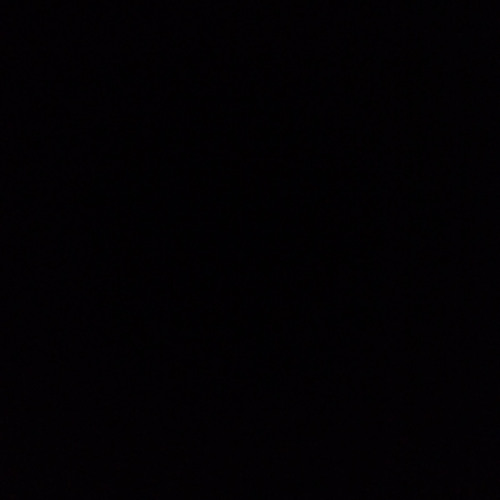 BEST GORE (blckk cover)