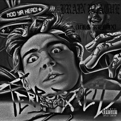 Terror Reid - Nod Ya Head! (BrainPlague BootLeg)