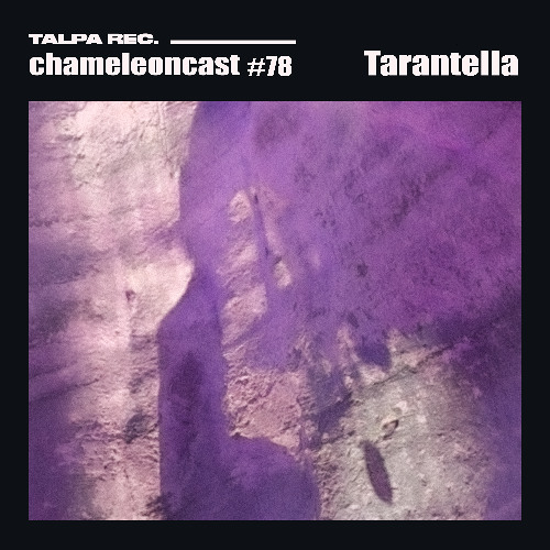 chameleon #78 - Tarantella