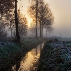 Out Of Our Control (Feat. Alcorn4life)