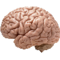 vivacious brain tumor