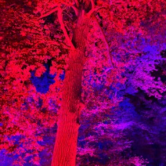 WHY ARE YOU EVEN HERE RIGHT NOW?