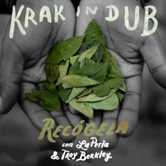 Krak In Dub - Recógela (feat. La Perla & Troy Berkley) [WATCH THE VIDEO]