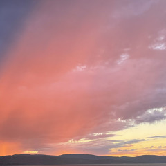 Amalie Leirvik - Someone.mp3