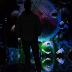 Hold Still
