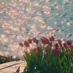 불면증