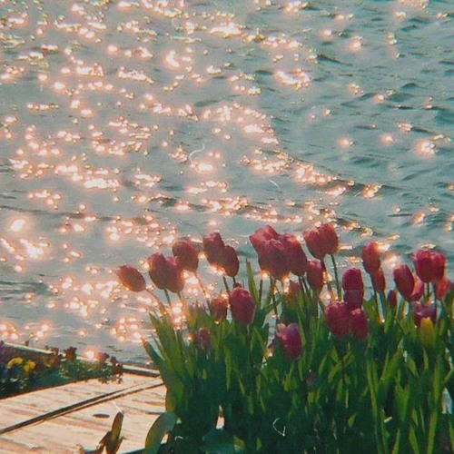 불면증