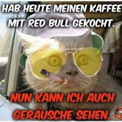 ToTaL-VeRruPpter- DonnErsTag