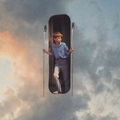 about giraffes and elephants