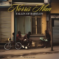 Fallin Of Babylon - Norris Man