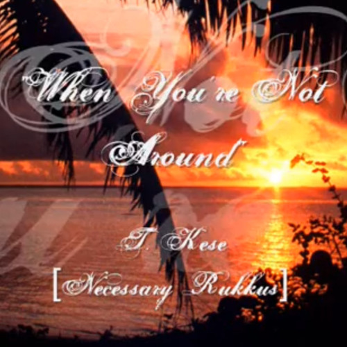 T. Kese - When You're Not Around