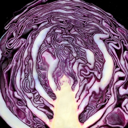 Stream No. 220414 Red Cabbage Farts by HiChew aka ChronicPentatonic