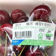 썩은체리의 믹셋