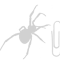 Black widow (prod.blickyhomeboy)