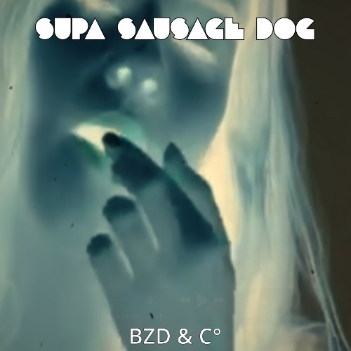 BZD & C°
