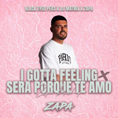 I Gotta Feeling ❌ Sera Porque Te Amo (ZAPA Mashup) #FREE