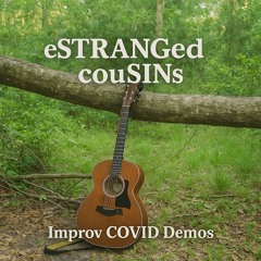 Pink and Silver Lining (Improv Covid Demos)