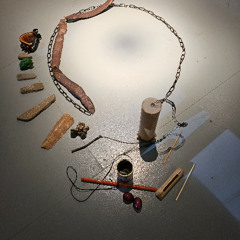 The BOND 2024 Binaural Recording of Birds